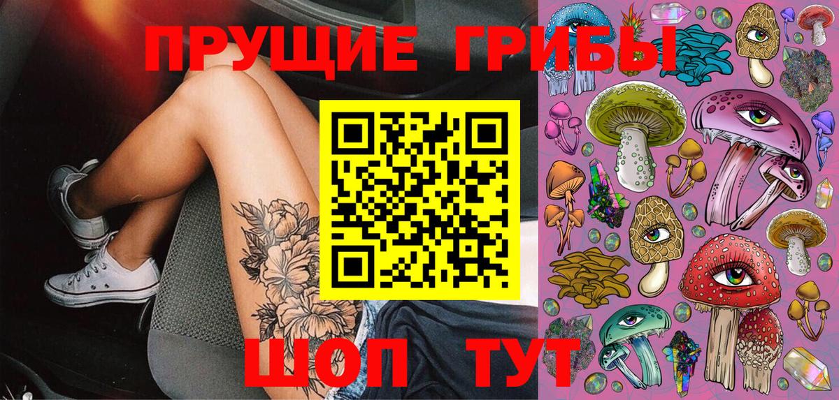 Нягань  Галлюциногенные грибы Psilocybe  Вход с VPN 